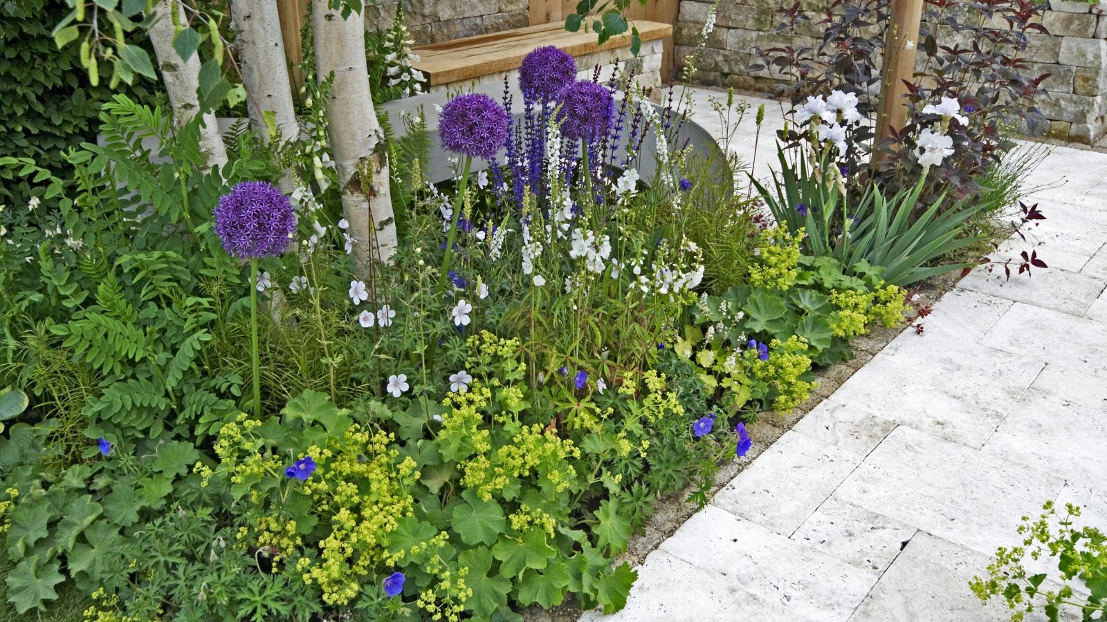 Tall, slender spikes of purple flowers mixed with large, spherical blooms, grow beside a stone walkway surrounded by greenery.