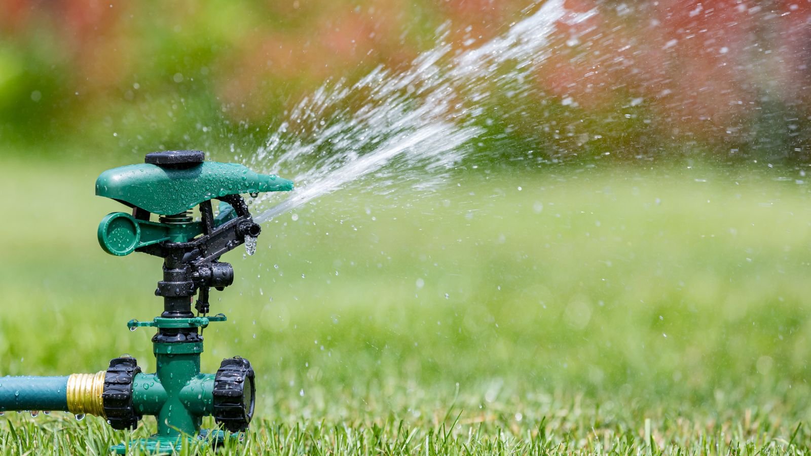 A sprinkler colored black and green spraying water on grass, with water splashing all over an area looking bright green