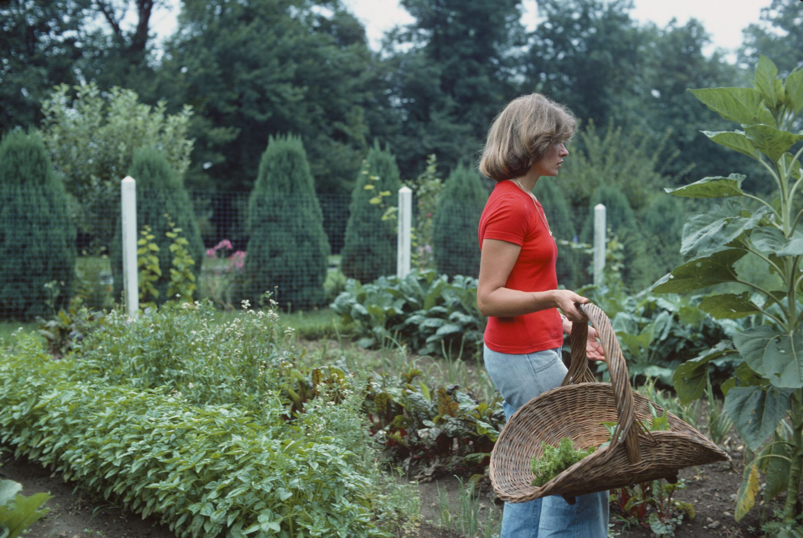 This Is Martha Stewart’s #1 Piece of Gardening Recommendation