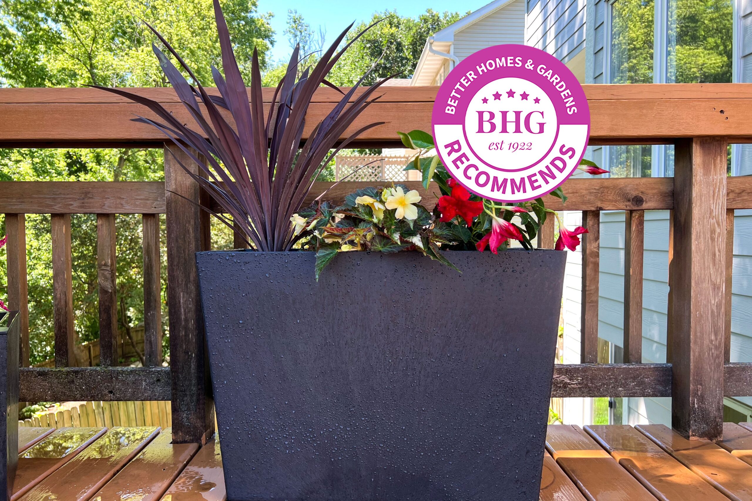 The 8 Finest Self-Watering Planters, Examined by BHG